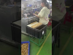 سازنده اسباب بازي هنر سفارشي